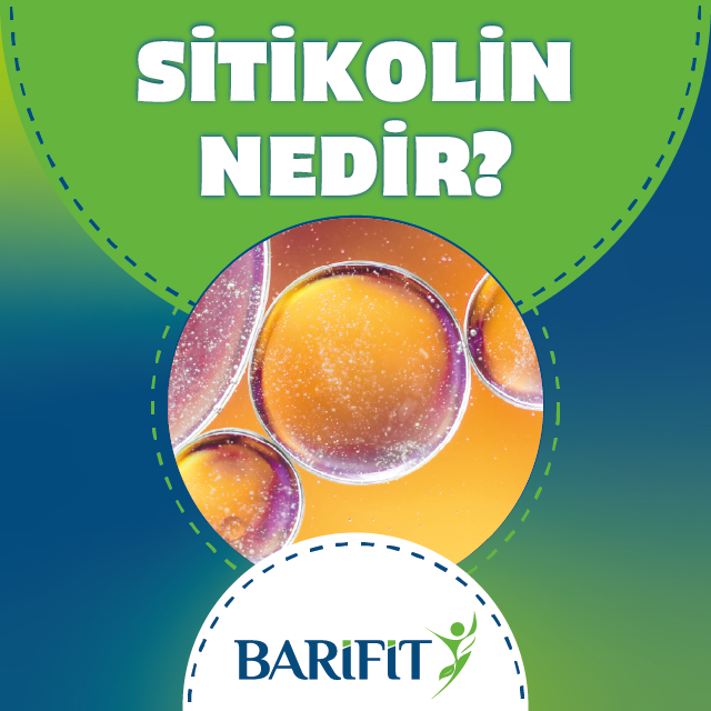 Sitikolin Nedir?